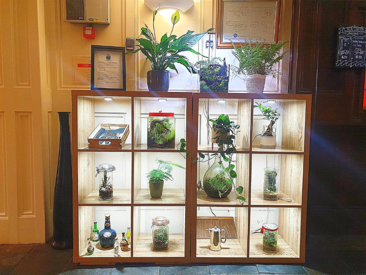 The Red Lion Hotel Cromer Eksteriør bilde A selection of closed terrarium systems