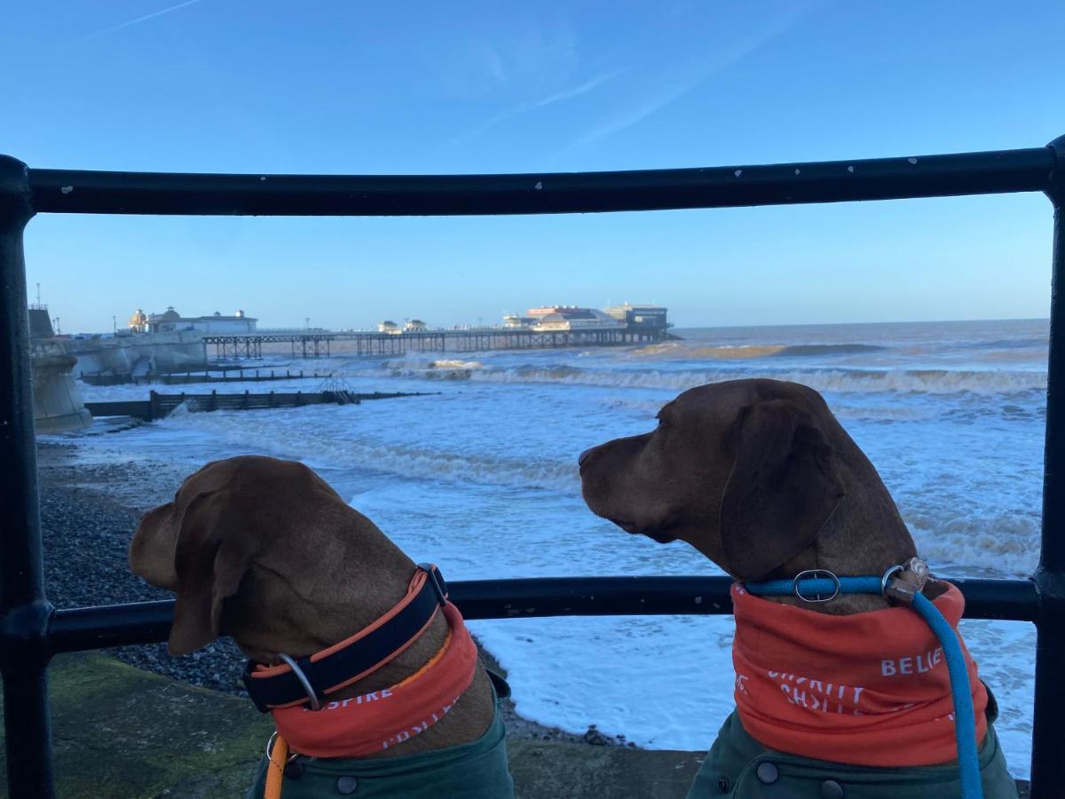 The Red Lion Hotel Cromer Eksteriør bilde Dogs at the pier